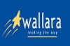 Wallara
