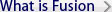 What is fusion